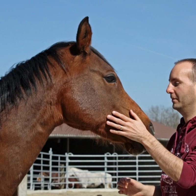 paul-spricht-mit-nadjaar.jpg paul-spricht-mit-nadjaar.jpg